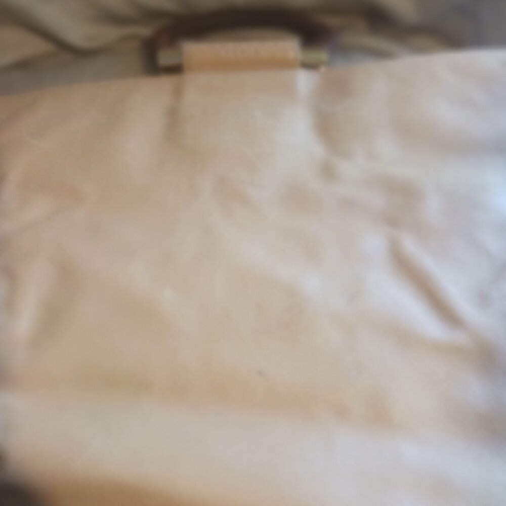 Celine Handbag
